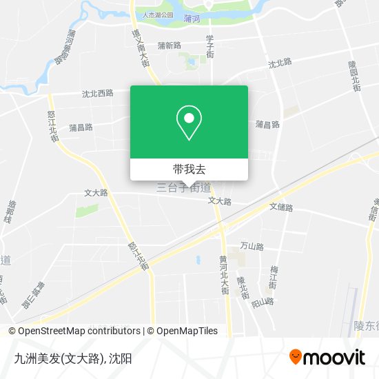 九洲美发(文大路)地图