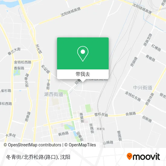冬青街/北乔松路(路口)地图