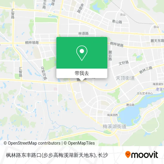 枫林路东丰路口(步步高梅溪湖新天地东)地图