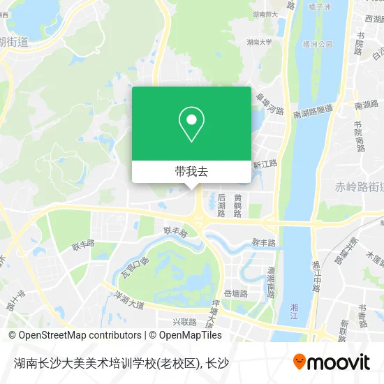 湖南长沙大美美术培训学校(老校区)地图