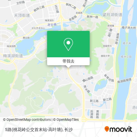 5路(桃花岭公交首末站-高叶塘)地图