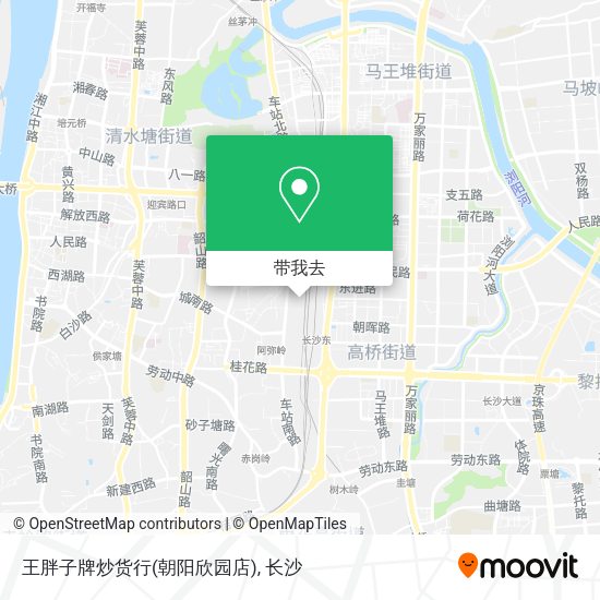 王胖子牌炒货行(朝阳欣园店)地图