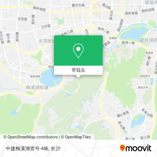 中建梅溪湖壹号-4栋地图