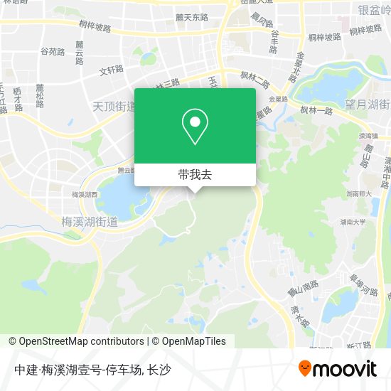 中建·梅溪湖壹号-停车场地图