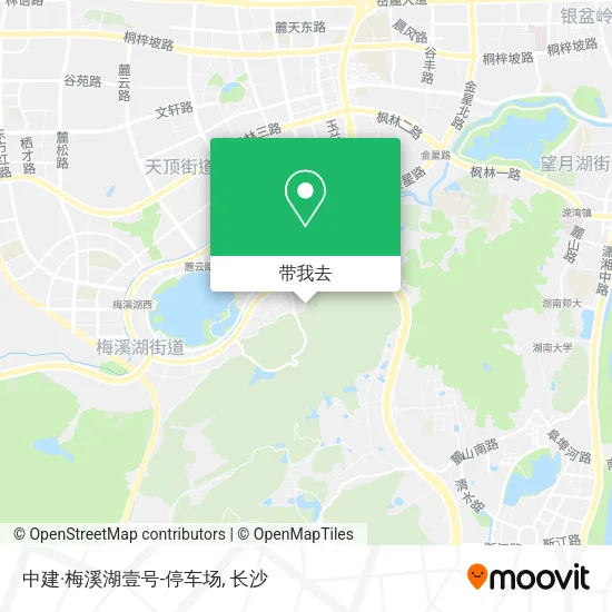 中建·梅溪湖壹号-停车场地图