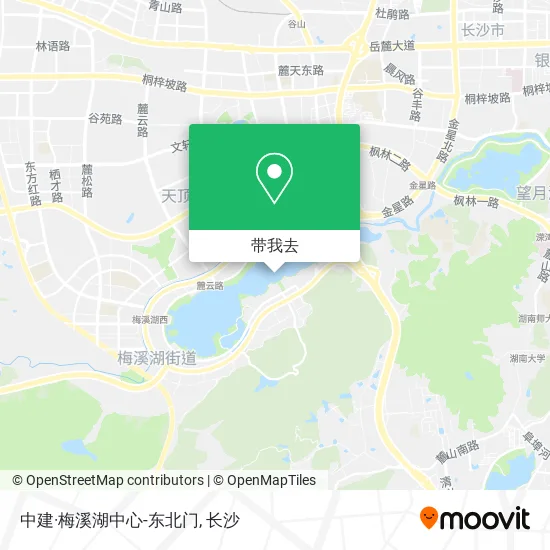 中建·梅溪湖中心-东北门地图