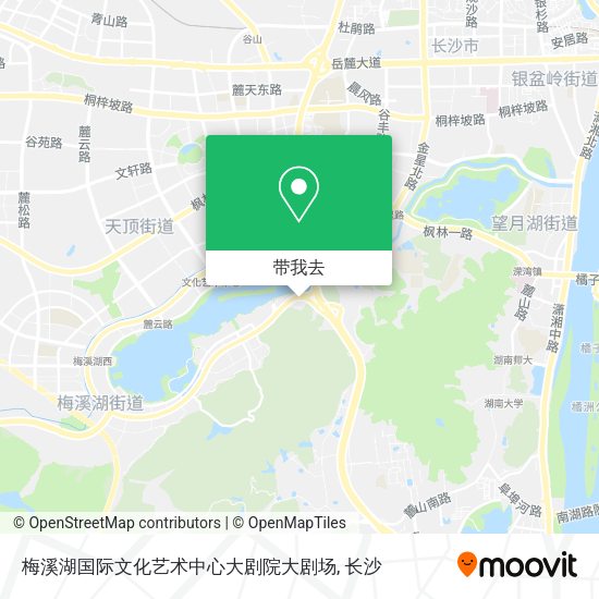 梅溪湖国际文化艺术中心大剧院大剧场地图