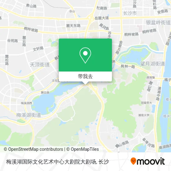 梅溪湖国际文化艺术中心大剧院大剧场地图