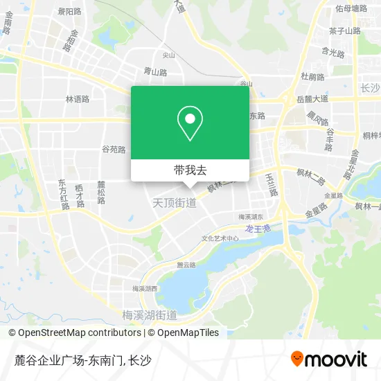 麓谷企业广场-东南门地图