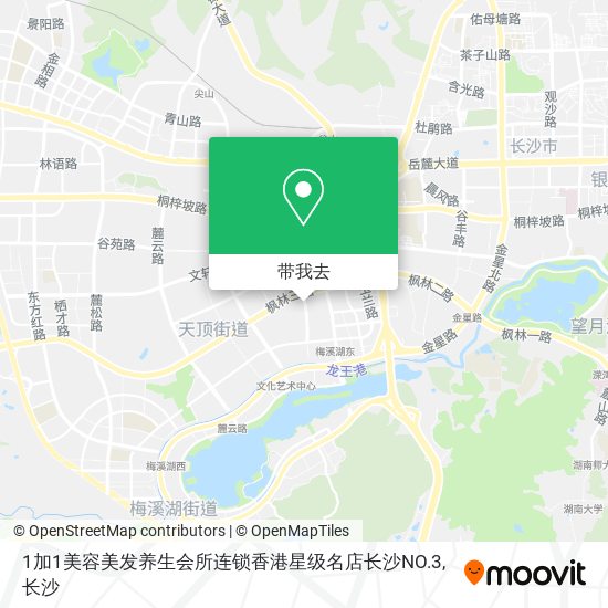 1加1美容美发养生会所连锁香港星级名店长沙NO.3地图