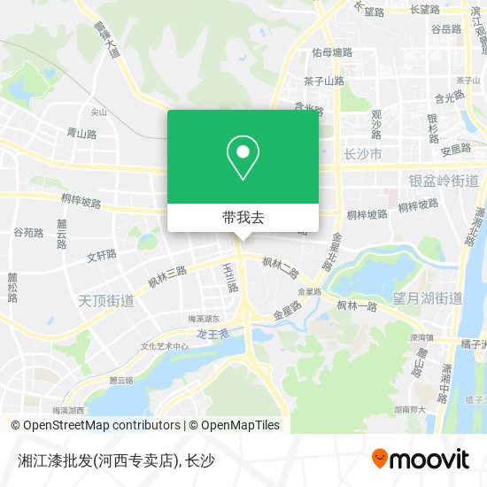 湘江漆批发(河西专卖店)地图