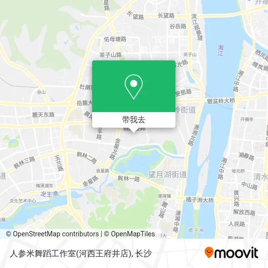 人参米舞蹈工作室(河西王府井店)地图