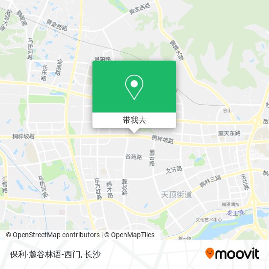 保利·麓谷林语-西门地图
