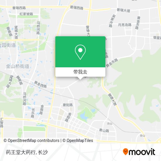 药王堂大药行地图