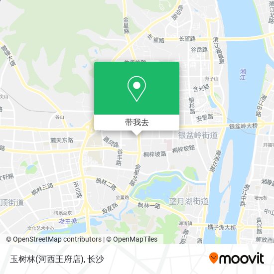 玉树林(河西王府店)地图