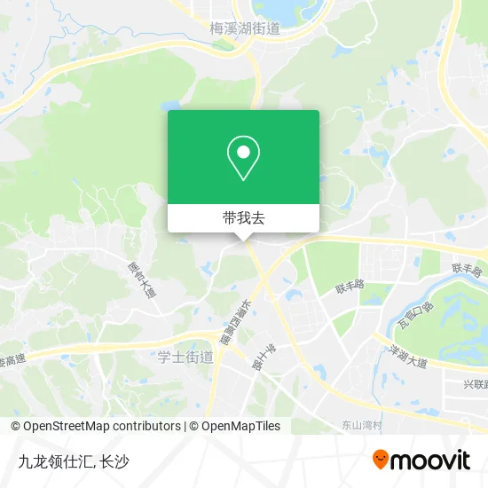 九龙领仕汇地图