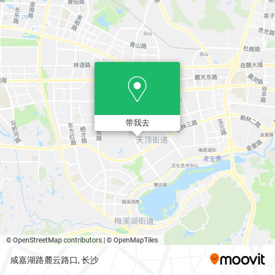 咸嘉湖路麓云路口地图