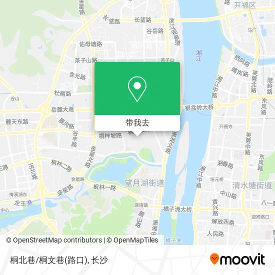 桐北巷/桐文巷(路口)地图