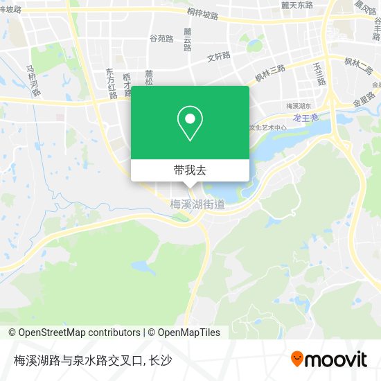梅溪湖路与泉水路交叉口地图
