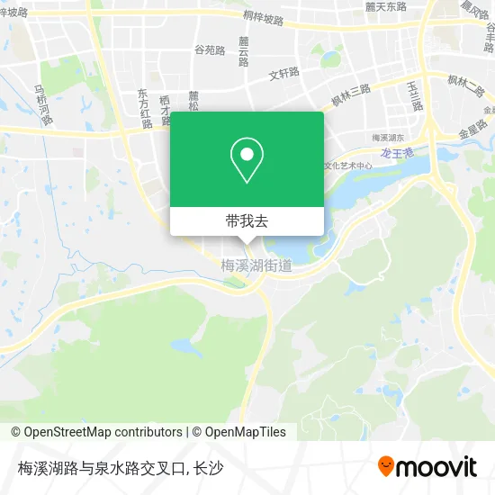 梅溪湖路与泉水路交叉口地图