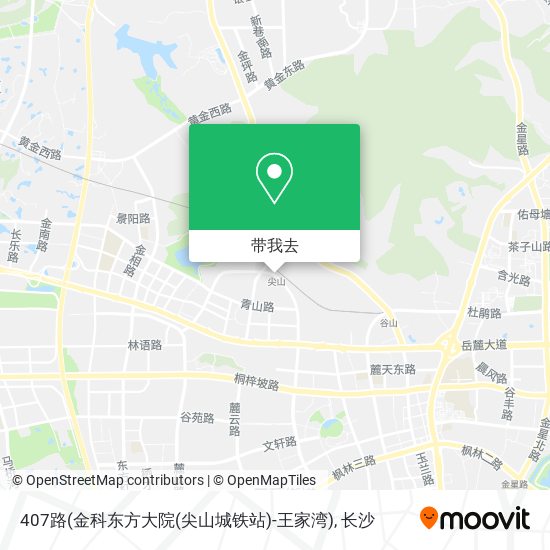 407路(金科东方大院(尖山城铁站)-王家湾)地图