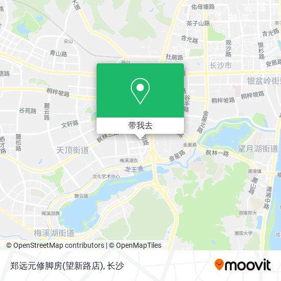 郑远元修脚房(望新路店)地图