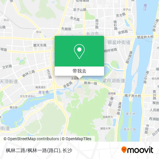 枫林二路/枫林一路(路口)地图