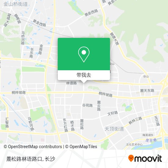 麓松路林语路口地图