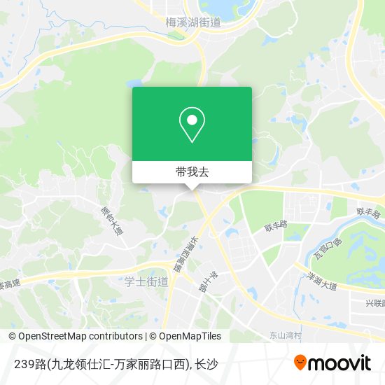 239路(九龙领仕汇-万家丽路口西)地图