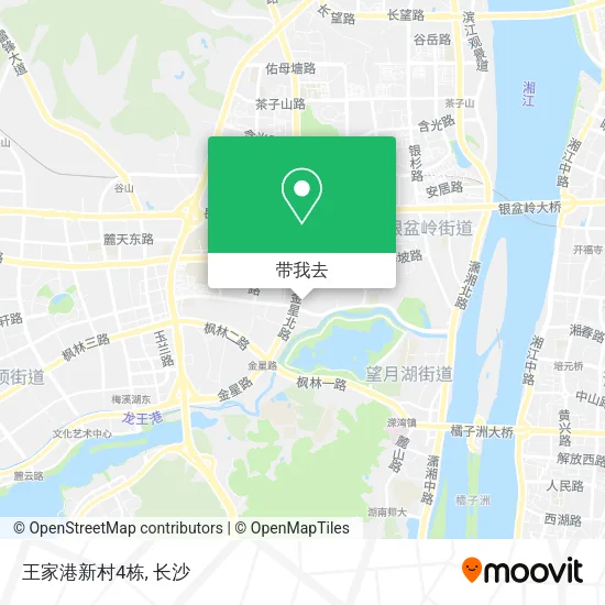 王家港新村4栋地图