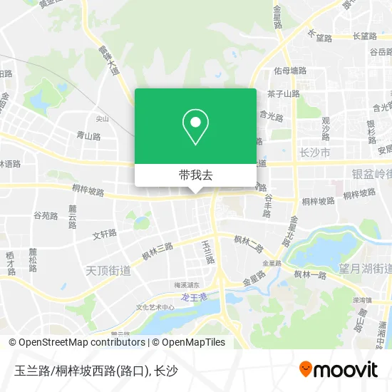 玉兰路/桐梓坡西路(路口)地图