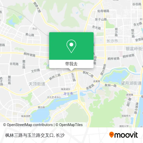 枫林三路与玉兰路交叉口地图