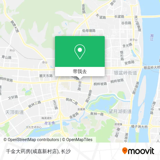 千金大药房(咸嘉新村店)地图