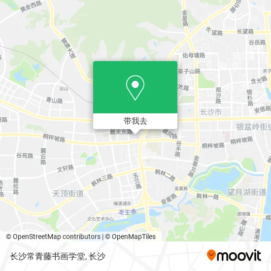 长沙常青藤书画学堂地图