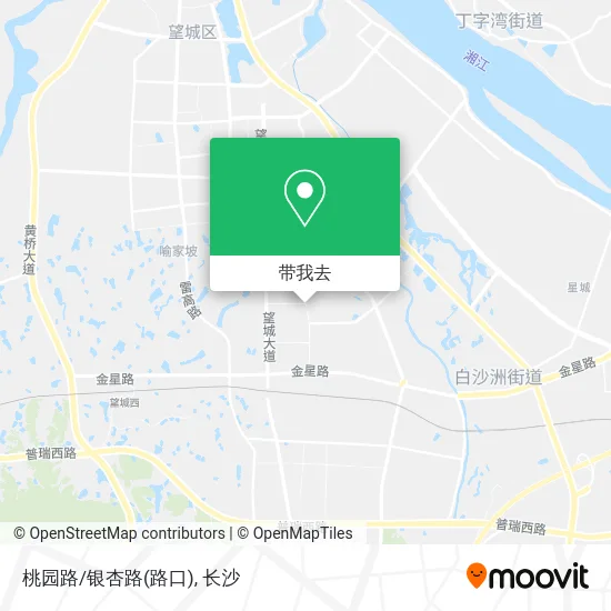 桃园路/银杏路(路口)地图