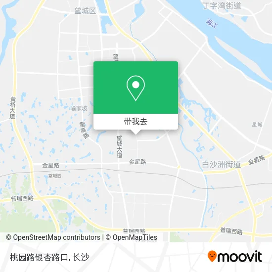 桃园路银杏路口地图