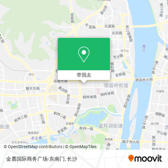 金麓国际商务广场-东南门地图
