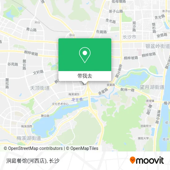 洞庭餐馆(河西店)地图