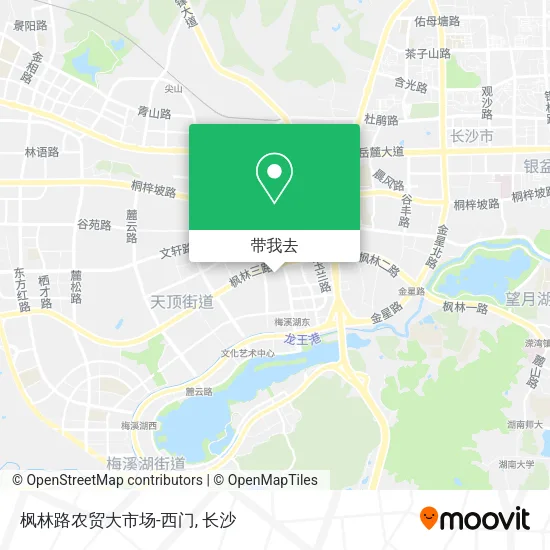 枫林路农贸大市场-西门地图