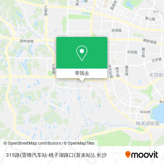 315路(雷锋汽车站-桃子湖路口(首末站))地图