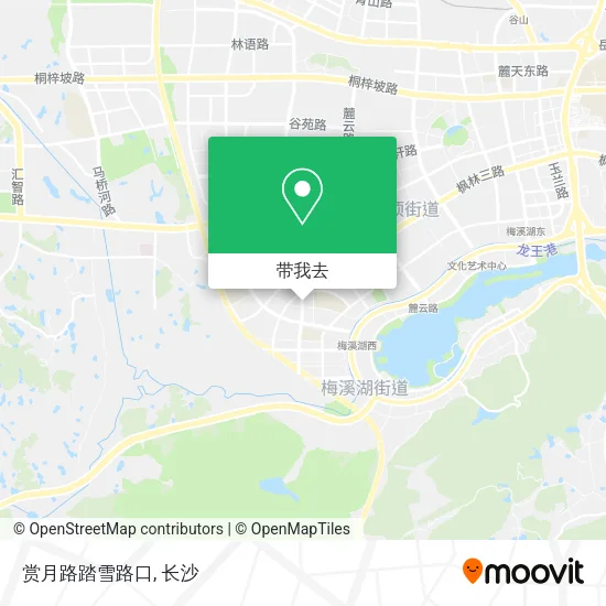 赏月路踏雪路口地图