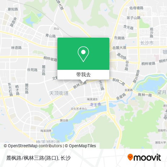 麓枫路/枫林三路(路口)地图