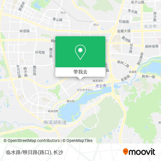 临水路/映日路(路口)地图