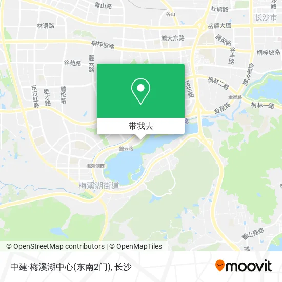 中建·梅溪湖中心(东南2门)地图