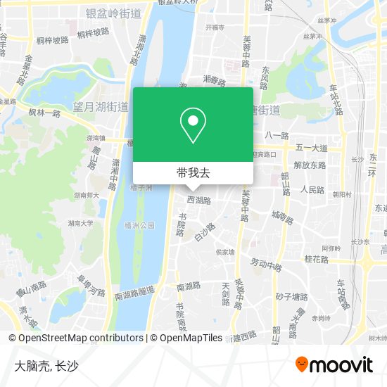 大脑壳地图