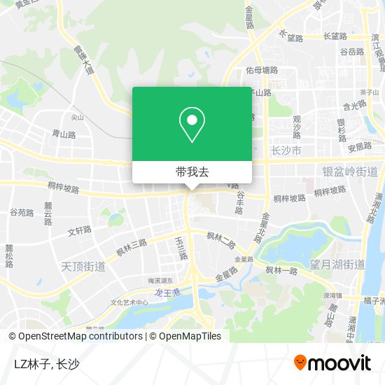 LZ林子地图