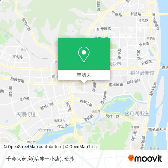 千金大药房(岳麓一小店)地图