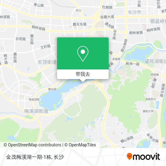 金茂梅溪湖一期-1栋地图