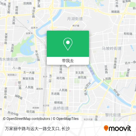 万家丽中路与远大一路交叉口地图