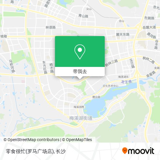 零食很忙(罗马广场店)地图